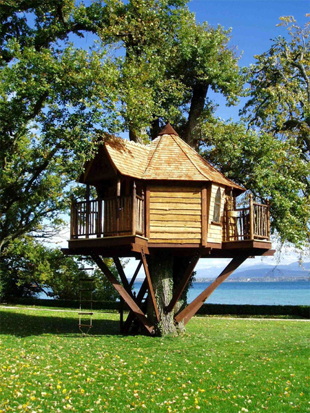 amazon tree house