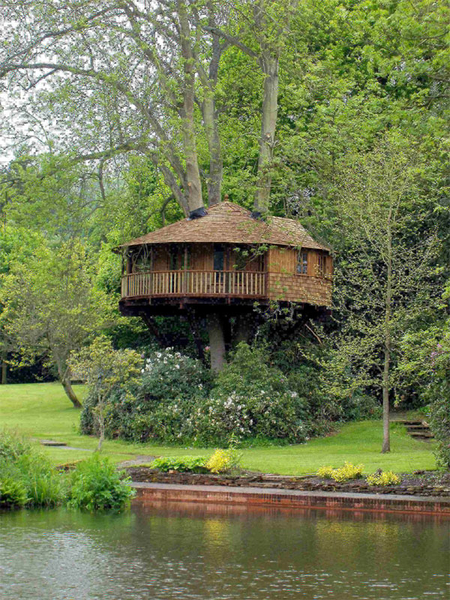 Amazon Tree House