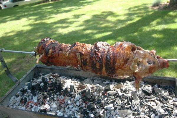 roast pig