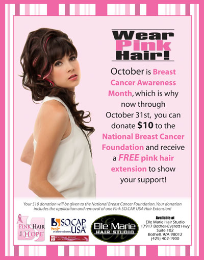 Pink Hair for Hope Flyer 