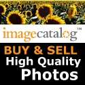 Royalty Free Stock Photos