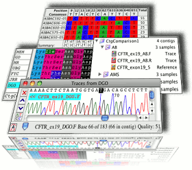 codoncode aligner free