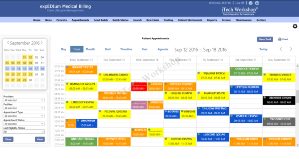 Robust Patient Appointment Scheduler Added to iTech's expEDIum Medical  Billing Software