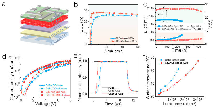 Device structure, performance, and carrier dynamics analysis.