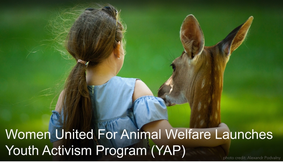 Women United For Animal Welfare Launches Youth Activism Program (YAP)