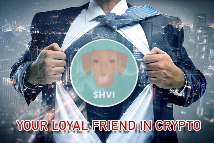 Vizsla Inu | Charity for Dog Shelters Created With Crypto Transactions