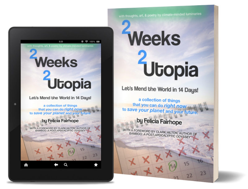 Mend the World in 14 Days: Debut Climate Book “2 Weeks 2 Utopia”