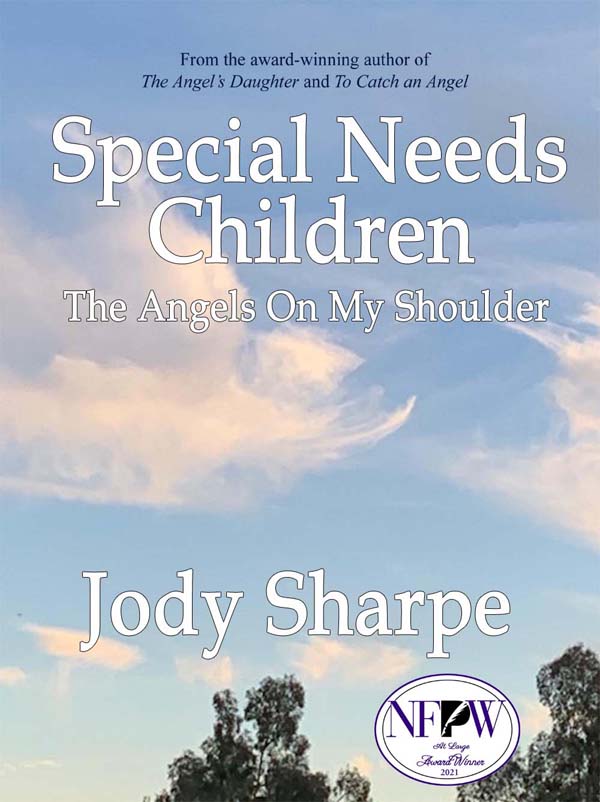 Media Bullying: A Call For Respect And Protection For Individuals With Special Needs By Bestselling Author Jody Sharpe