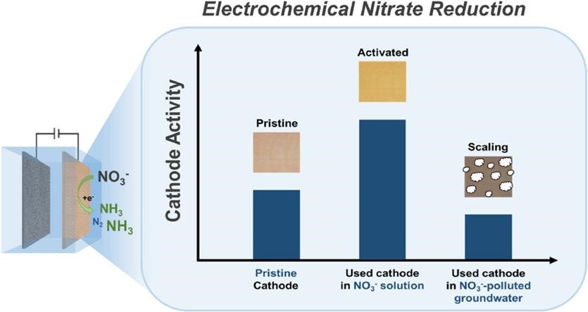 Unlocking the potential of electrochemical nitrate reduction: a new catalyst approach