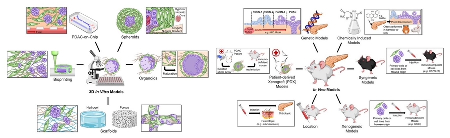 Alfa Cytology Launches Cancer Diagnostic Biomarker Development Services to Advance Personalized Treatment