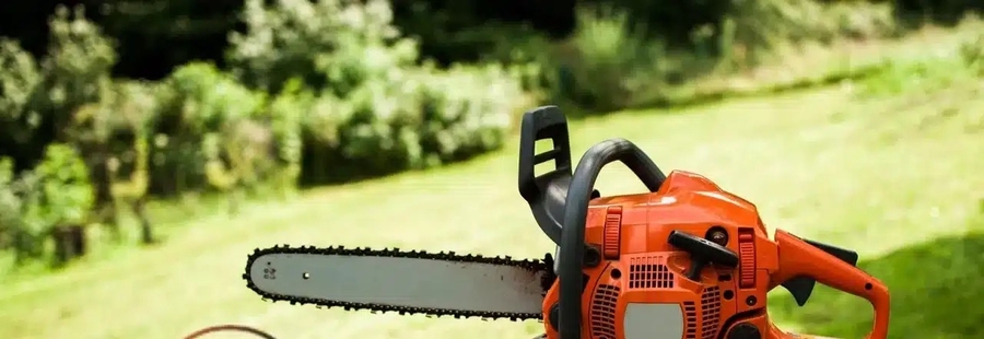 Treewurk: The Trusted Tree Service Experts in Cartersville, GA