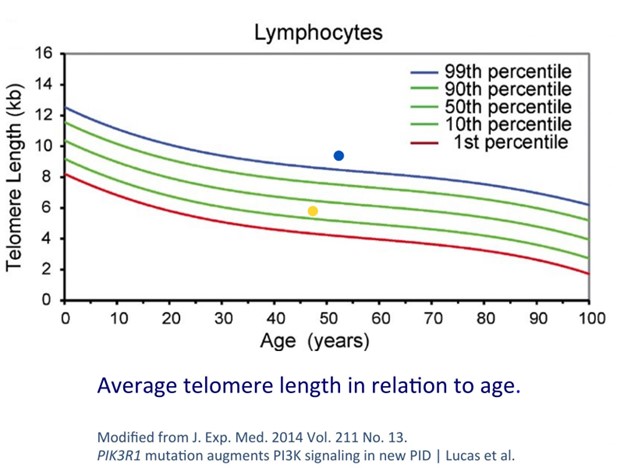 Weekly Intermittent Fasting Can Increase The Length of Your Telomeres, Test Results From Greg Lindberg’s 6-Year Study Show