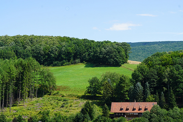 Escape to Serenity: Gaia Retreat House Offers Wellness Retreats in English for Global Travelers in Germany