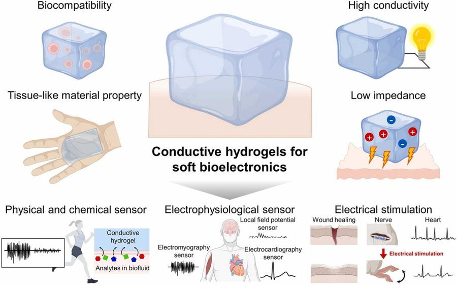 Recent progress in conductive hydrogel and their applications