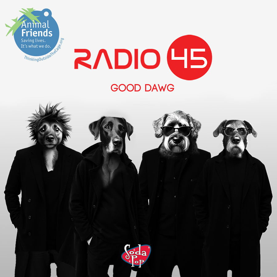 Pittsburgh Recording Artist Radio 45 Partners with Animal Friends to Help Good Dawgs (new music release)