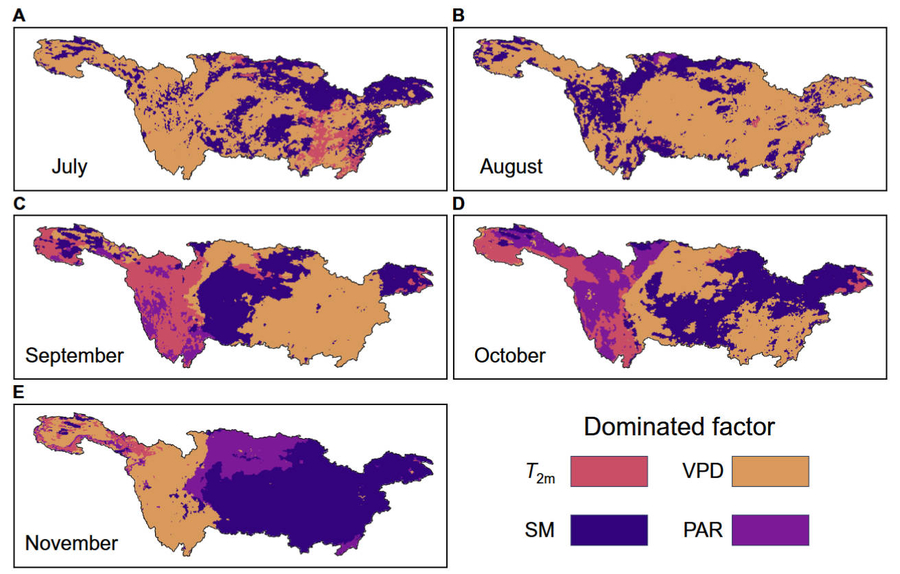 New SIF model tracks drought effects in real-time