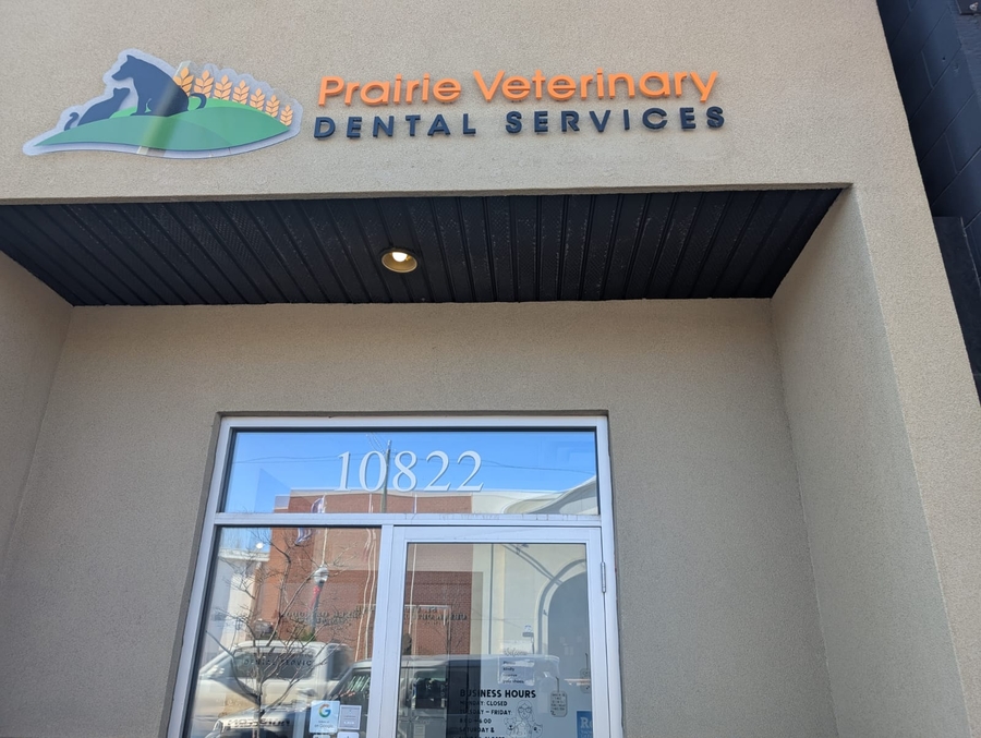 Prairie Veterinary Dental Services: Specialized Veterinary Dentistry in Edmonton