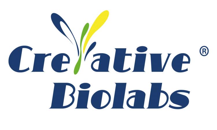 Gut Microbiota Research: Creative Biolabs Fuels Next-Gen Probiotics Development